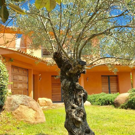 Villa Santa Giulia, Vue Panoramique Sur La Mer, 900 M De La Plage Porto Vecchio Exterior foto